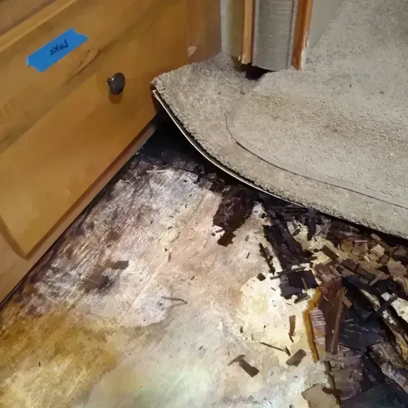 Wood Floor Water Damage in Sleepy Eye, MN